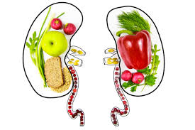 Renal Nutrition Program